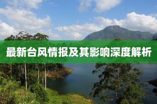 最新台风情报及其影响深度解析
