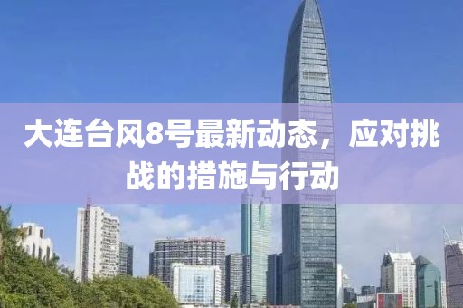 大连台风8号最新动态，应对挑战的措施与行动