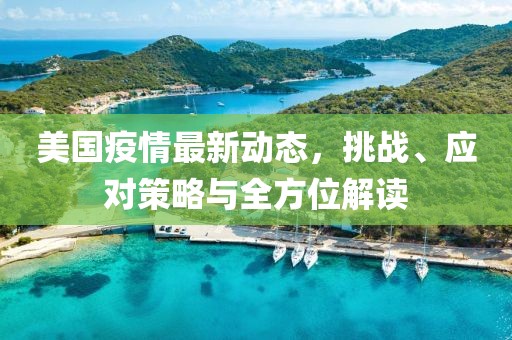 美国疫情最新动态，挑战、应对策略与全方位解读
