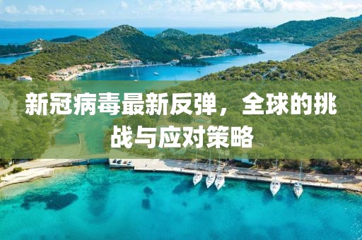 新冠病毒最新反弹，全球的挑战与应对策略