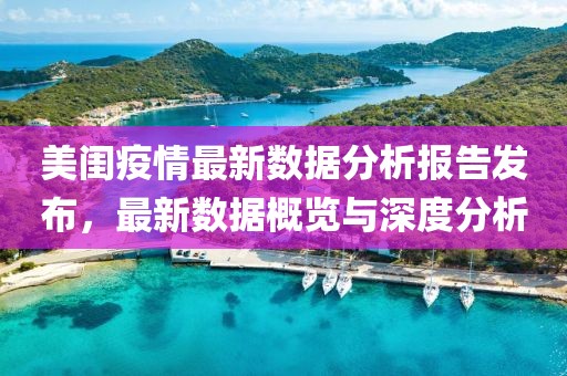 美闺疫情最新数据分析报告发布，最新数据概览与深度分析