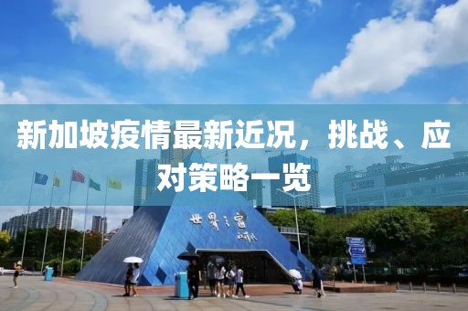 新加坡疫情最新近况，挑战、应对策略一览