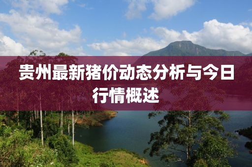 贵州最新猪价动态分析与今日行情概述