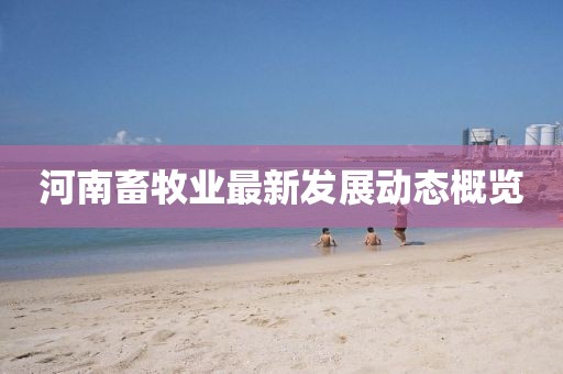 河南畜牧业最新发展动态概览