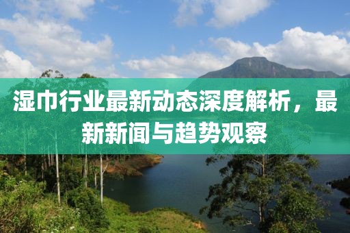 湿巾行业最新动态深度解析，最新新闻与趋势观察