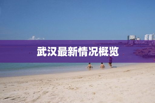 武汉最新情况概览