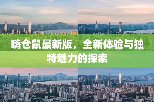 嗨仓鼠最新版，全新体验与独特魅力的探索