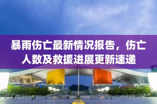 暴雨伤亡最新情况报告，伤亡人数及救援进展更新速递
