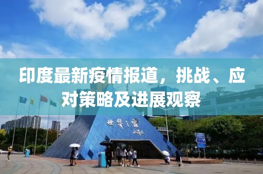 印度最新疫情报道，挑战、应对策略及进展观察