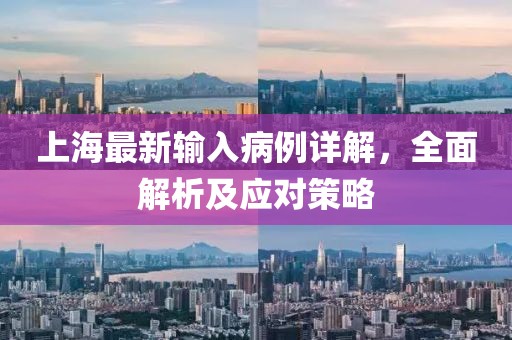 上海最新输入病例详解，全面解析及应对策略