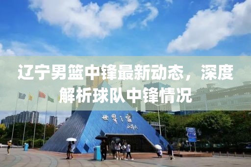 辽宁男篮中锋最新动态，深度解析球队中锋情况