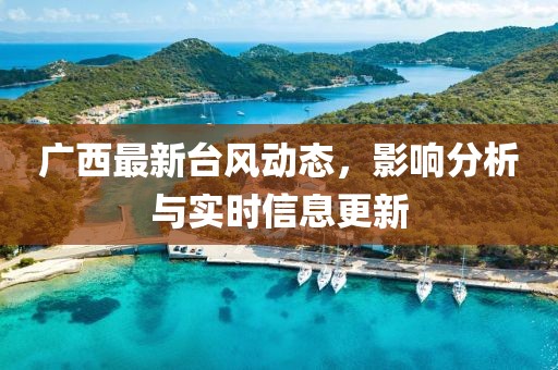广西最新台风动态，影响分析与实时信息更新