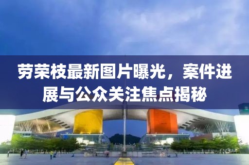 劳荣枝最新图片曝光，案件进展与公众关注焦点揭秘