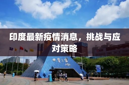 印度最新疫情消息，挑战与应对策略
