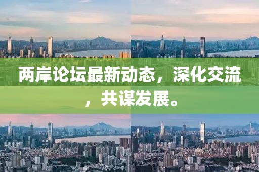两岸论坛最新动态，深化交流，共谋发展。