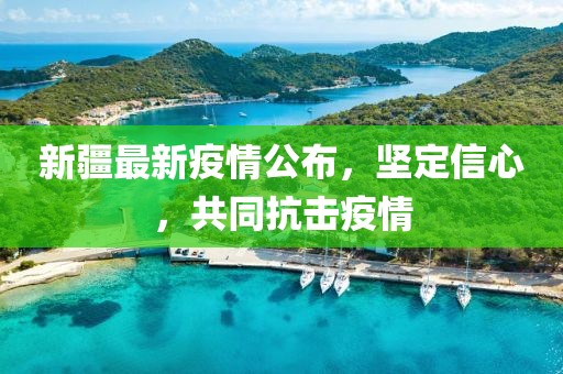 新疆最新疫情公布，坚定信心，共同抗击疫情