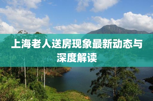 上海老人送房现象最新动态与深度解读