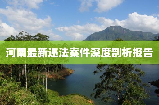 河南最新违法案件深度剖析报告