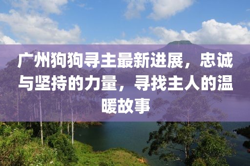 广州狗狗寻主最新进展，忠诚与坚持的力量，寻找主人的温暖故事