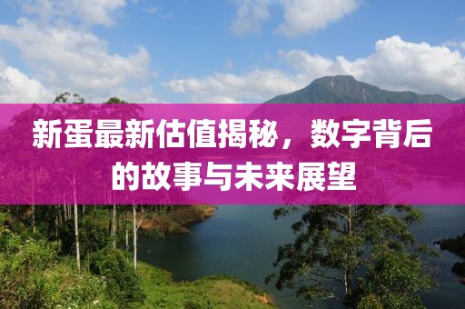 新蛋最新估值揭秘，数字背后的故事与未来展望