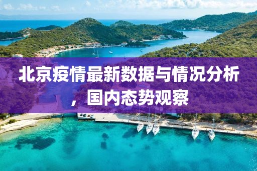 北京疫情最新数据与情况分析，国内态势观察