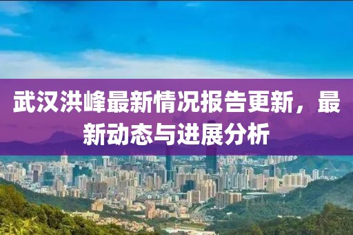 武汉洪峰最新情况报告更新，最新动态与进展分析
