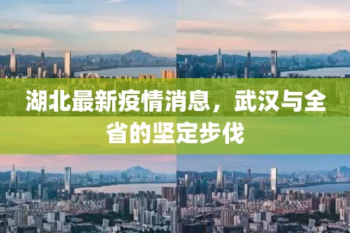 湖北最新疫情消息，武汉与全省的坚定步伐