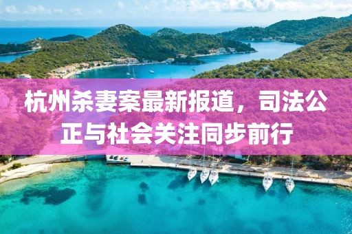 杭州杀妻案最新报道，司法公正与社会关注同步前行