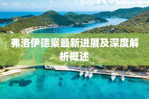 弗洛伊德案最新进展及深度解析概述