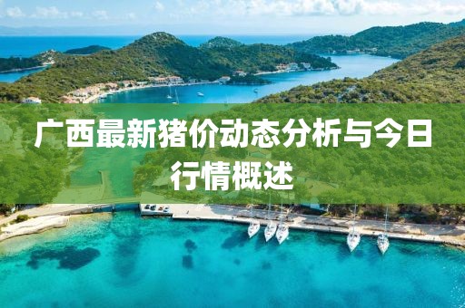 广西最新猪价动态分析与今日行情概述