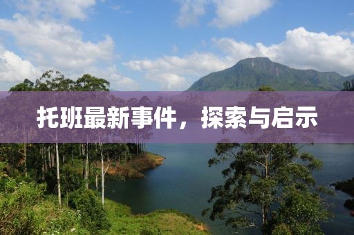 托班最新事件，探索与启示