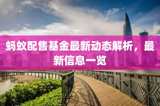 蚂蚁配售基金最新动态解析，最新信息一览