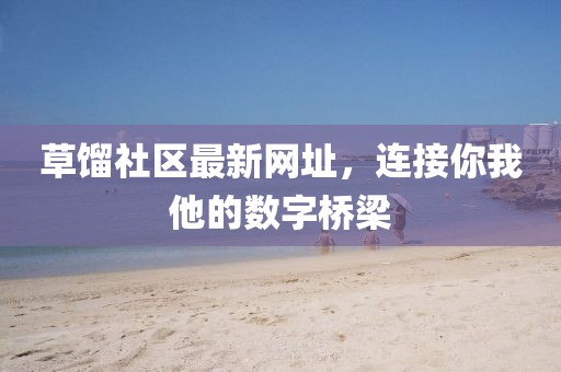 草馏社区最新网址，连接你我他的数字桥梁