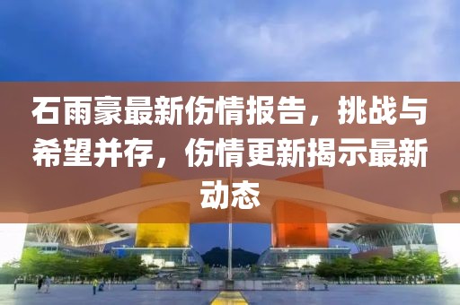 石雨豪最新伤情报告，挑战与希望并存，伤情更新揭示最新动态