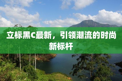 立标黑C最新，引领潮流的时尚新标杆