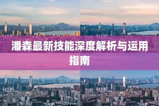 潘森最新技能深度解析与运用指南