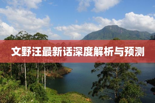 文野汪最新话深度解析与预测