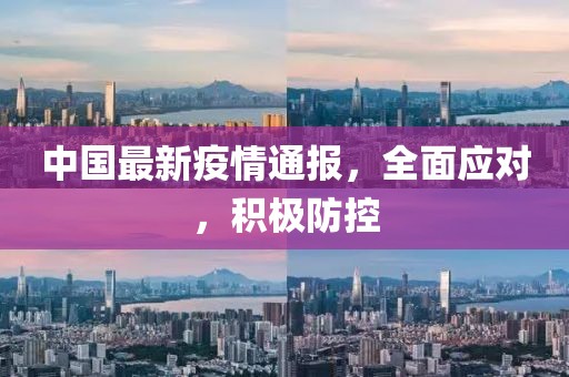 中国最新疫情通报，全面应对，积极防控