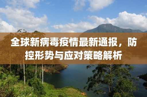 全球新病毒疫情最新通报，防控形势与应对策略解析