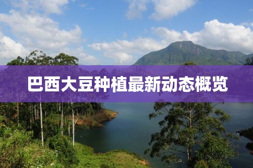巴西大豆种植最新动态概览