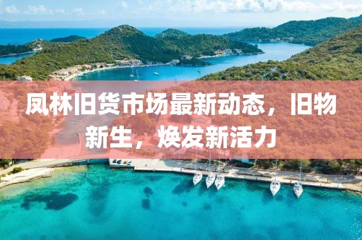 凤林旧货市场最新动态，旧物新生，焕发新活力