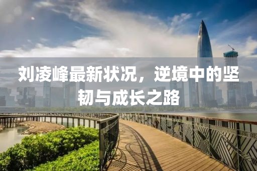 刘凌峰最新状况，逆境中的坚韧与成长之路
