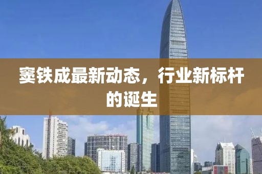 窦铁成最新动态，行业新标杆的诞生