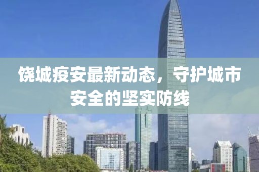 饶城疫安最新动态，守护城市安全的坚实防线