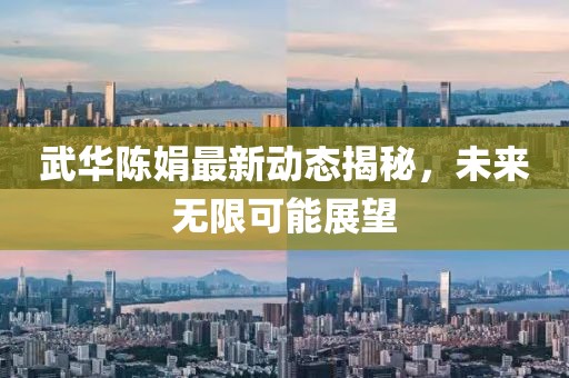 武华陈娟最新动态揭秘，未来无限可能展望