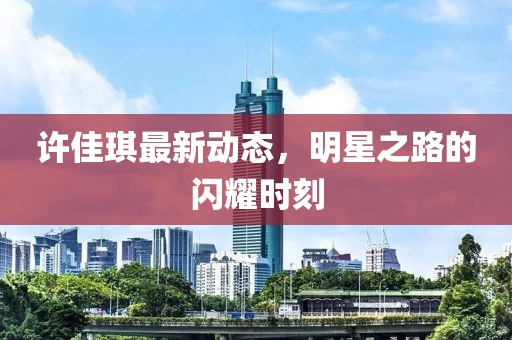 许佳琪最新动态，明星之路的闪耀时刻
