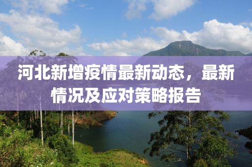 河北新增疫情最新动态，最新情况及应对策略报告