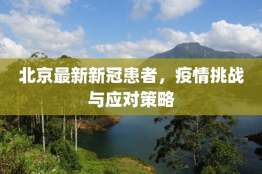 北京最新新冠患者，疫情挑战与应对策略