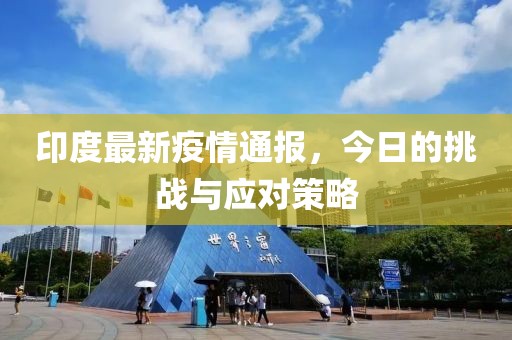 印度最新疫情通报，今日的挑战与应对策略