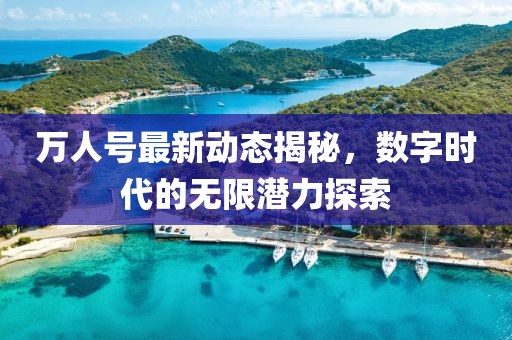 万人号最新动态揭秘，数字时代的无限潜力探索